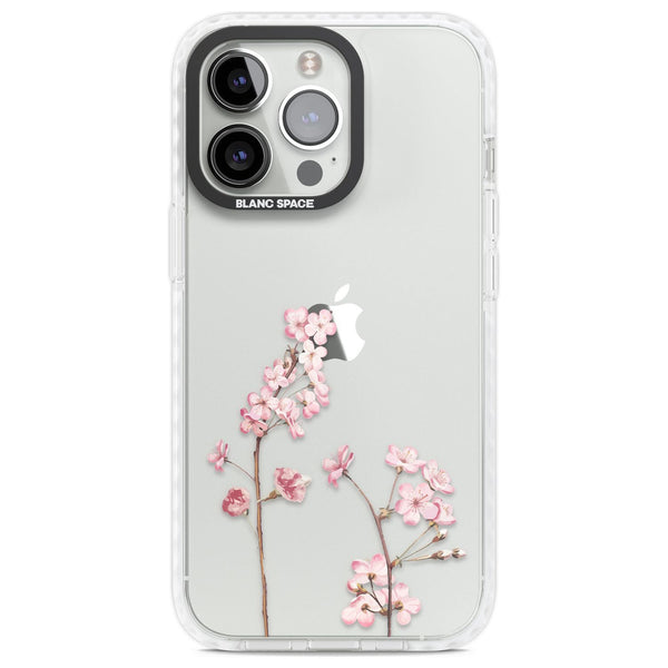 Blossom Flower