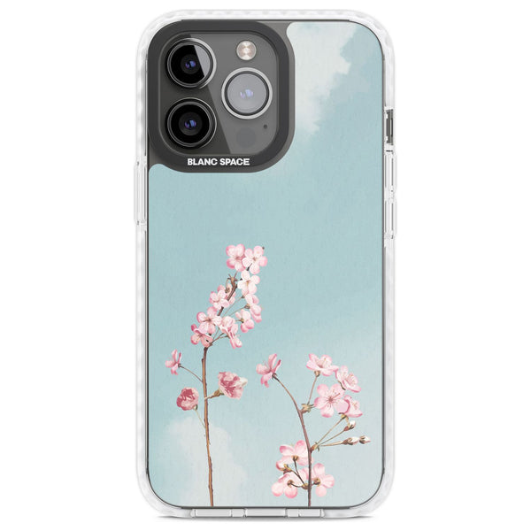 Blossom Flower Sky