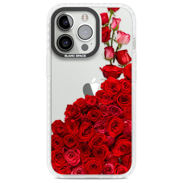 Rose Avalanche