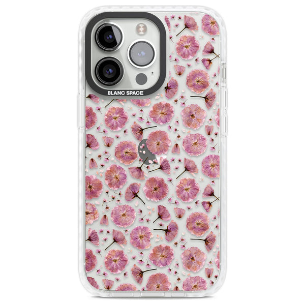 Pink Florals & Blossom