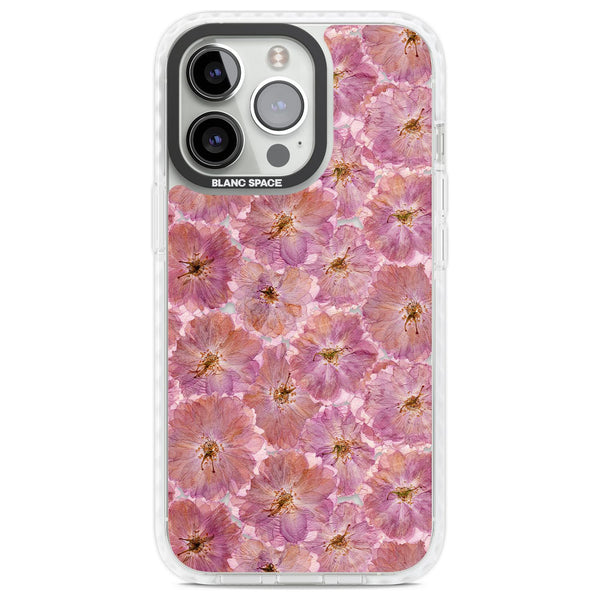 Large Pink Florals