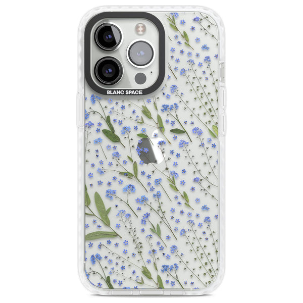 Blue Meadow