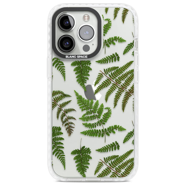 Leafy Ferns