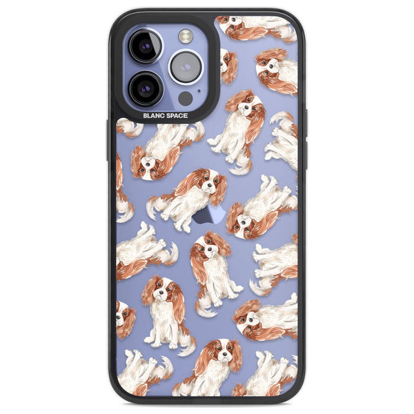 Cavalier King Charles Spaniel