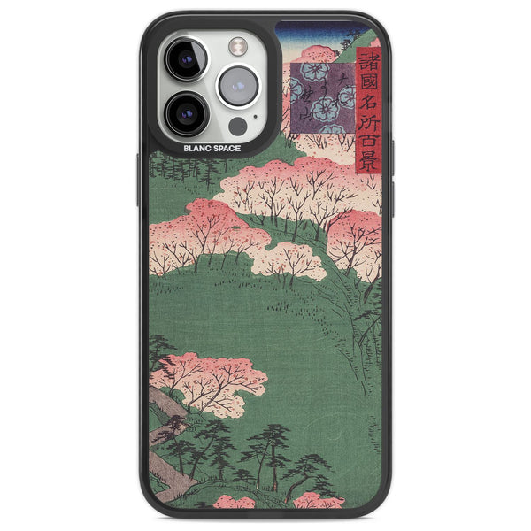 Japanese Cherry Blossom Forest