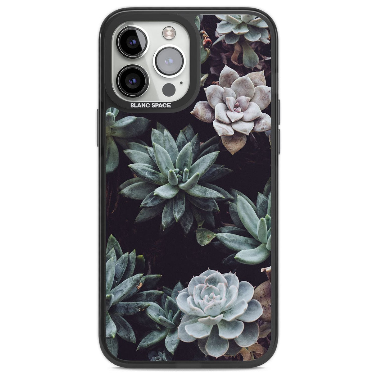Mixed Succulents - Real Botanical Photographs Phone Case iPhone 13 Pro Max / Black Impact Case,iPhone 14 Pro Max / Black Impact Case Blanc Space