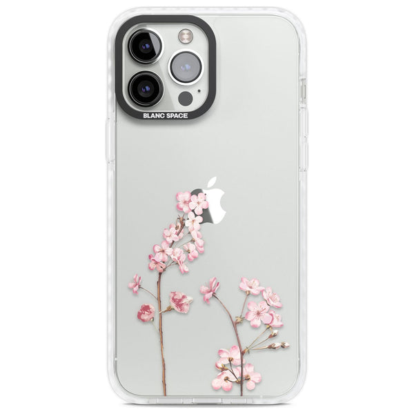 Blossom Flower