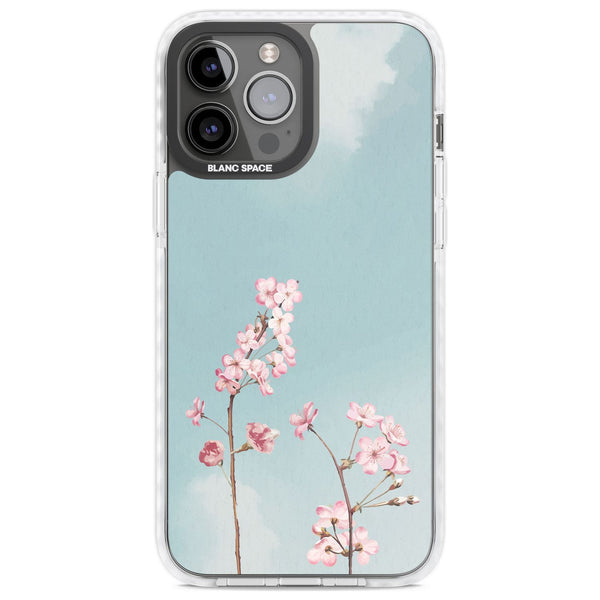 Blossom Flower Sky