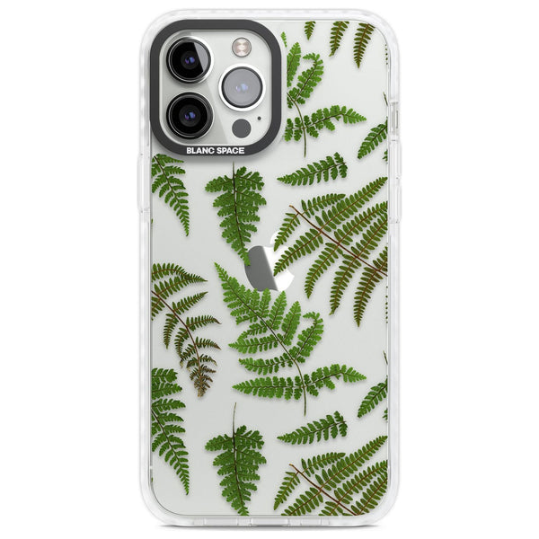 Leafy Ferns