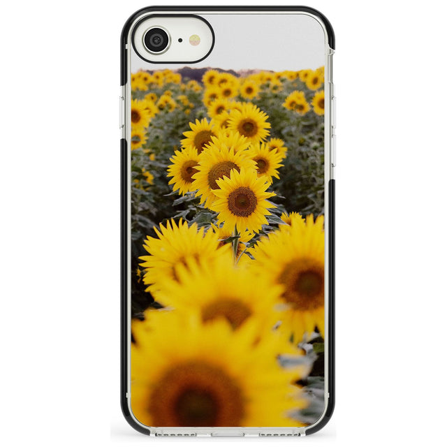 Sunflower Field Photograph Black Impact Phone Case for iPhone SE 8 7 Plus