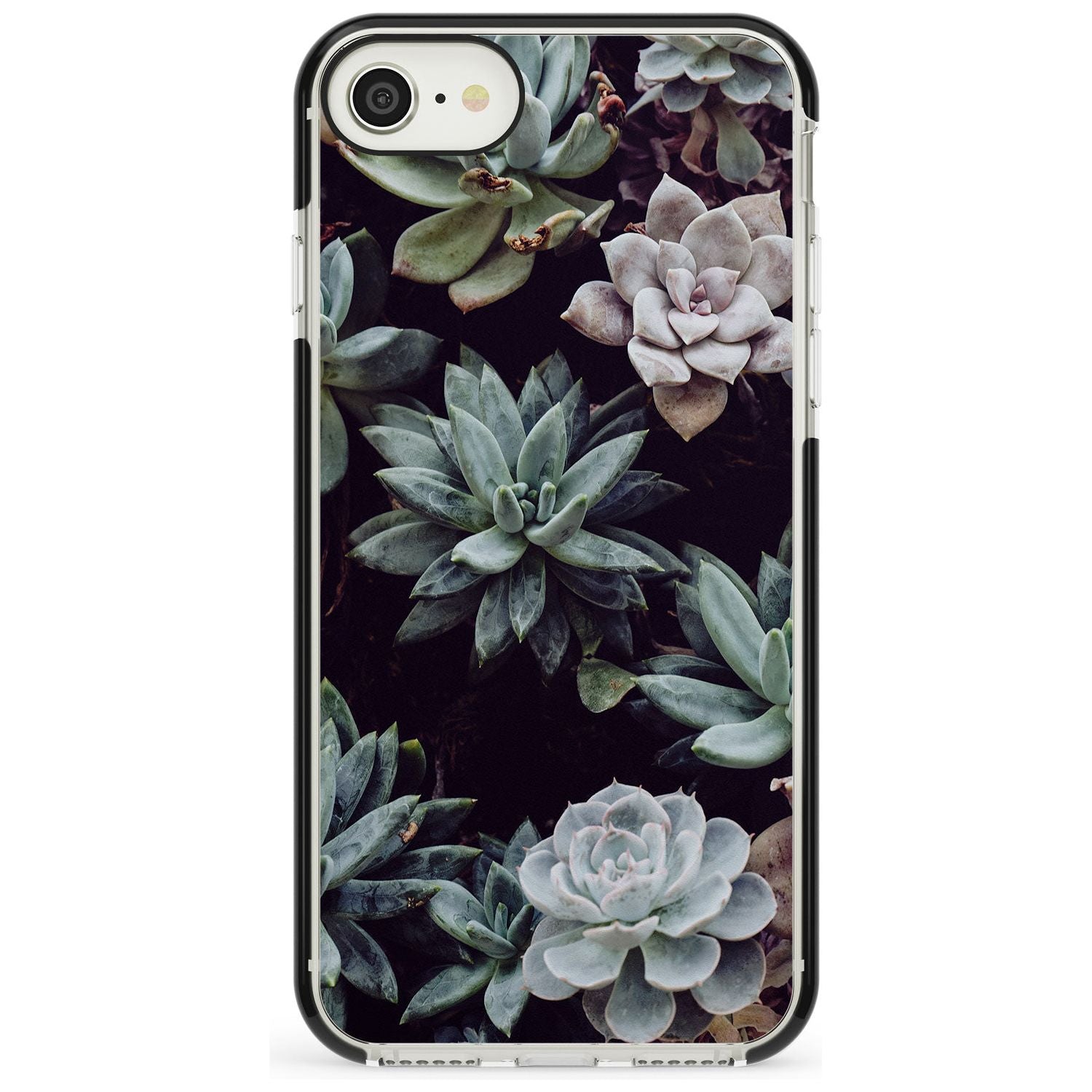 Mixed Succulents - Real Botanical Photographs Black Impact Phone Case for iPhone SE 8 7 Plus