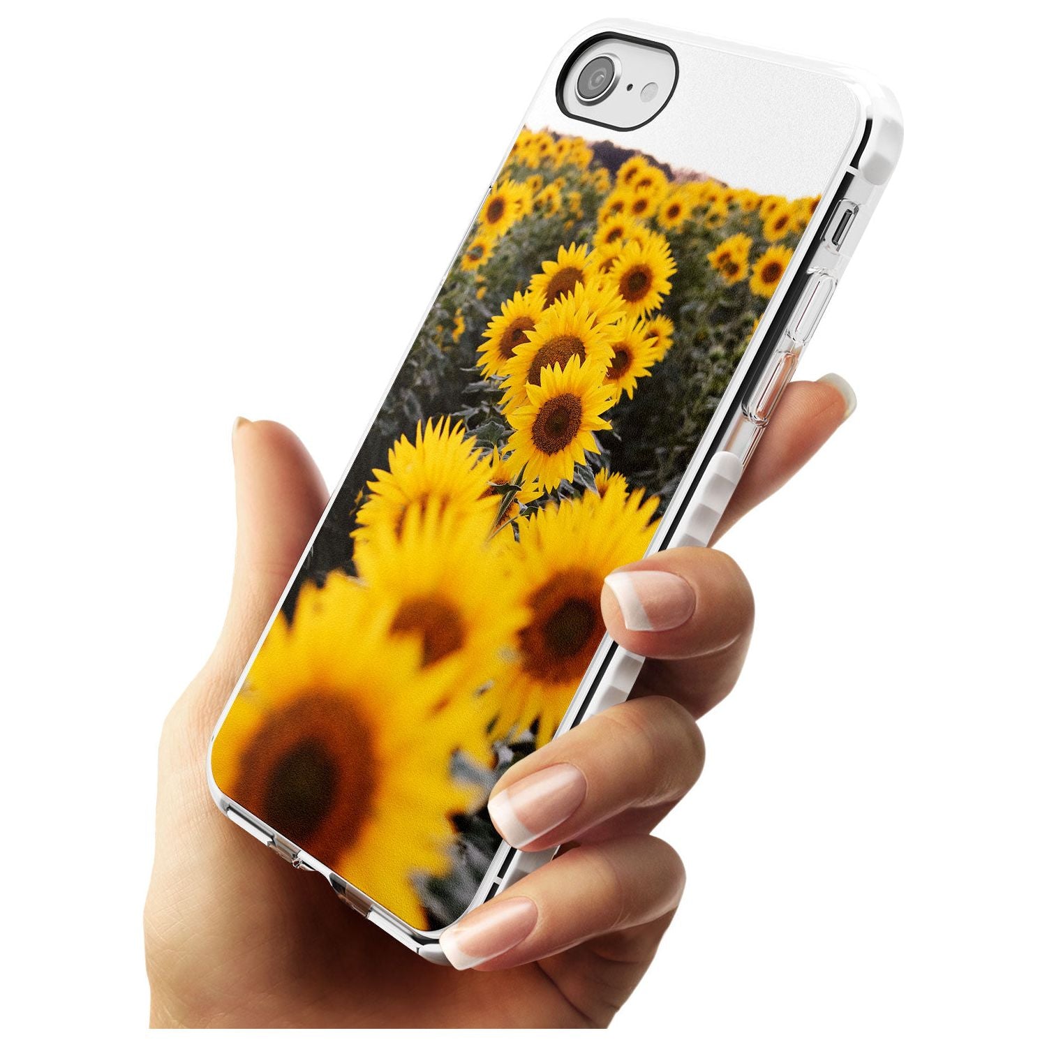 Sunflower Field Photograph Impact Phone Case for iPhone SE 8 7 Plus